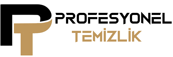 PROFESYONEL TEMİZLİK